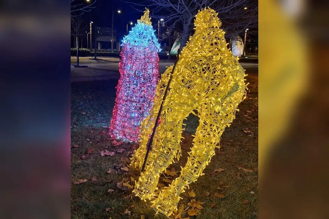 Danos luminarias Reyes Magos Navidad Arroyo de la Encomienda acto vandalico