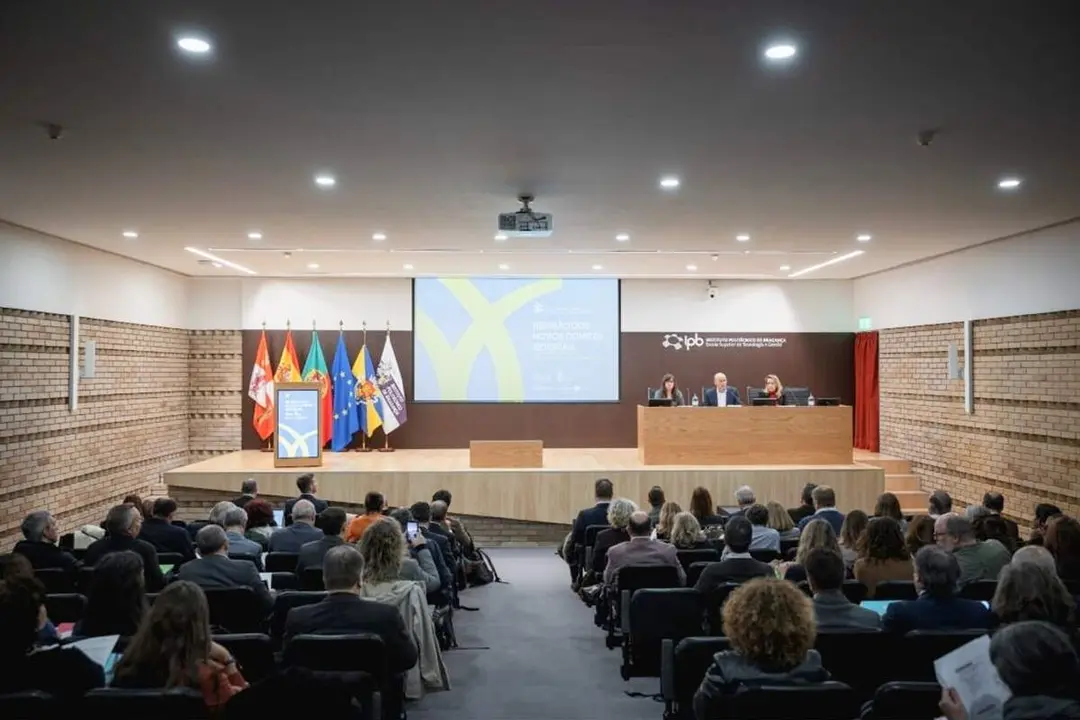 Reuniones Comites Sectoriales cooperacion Castilla y Leon Norte Portugal