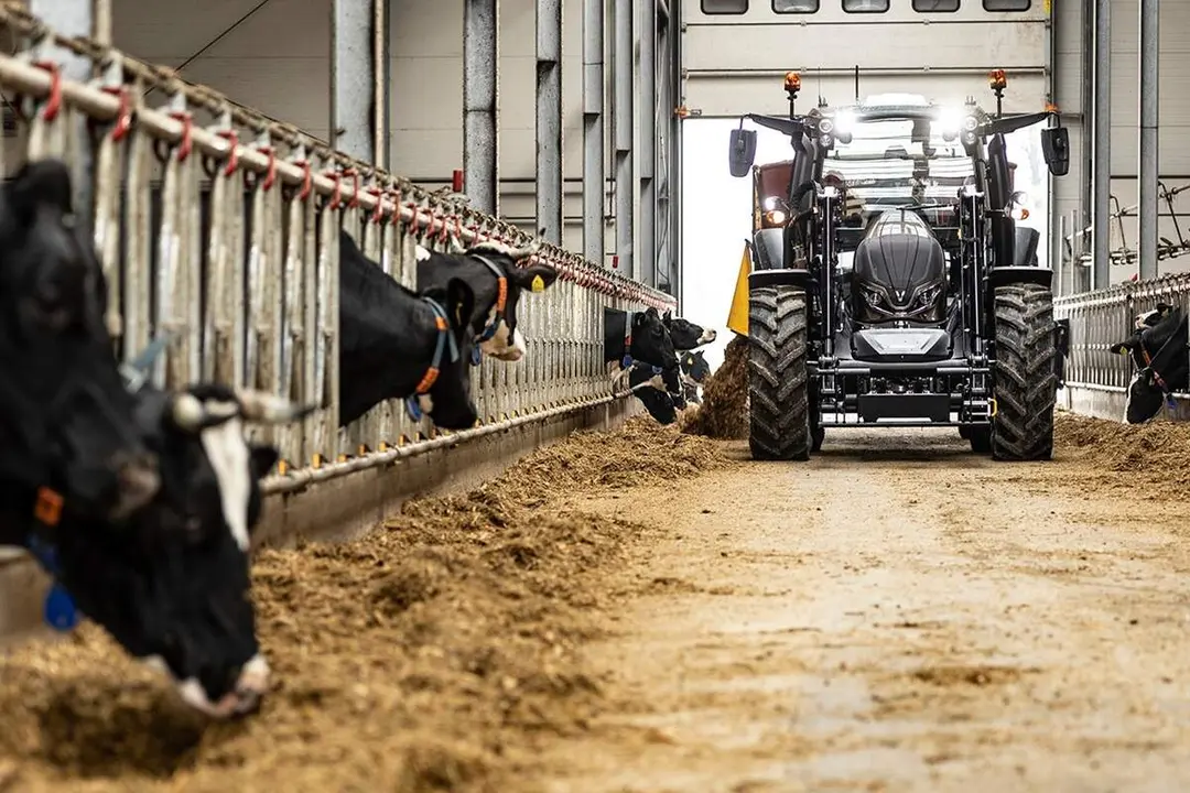 Granja vacas finca explotacion ganadera tractor provincia Valladolid