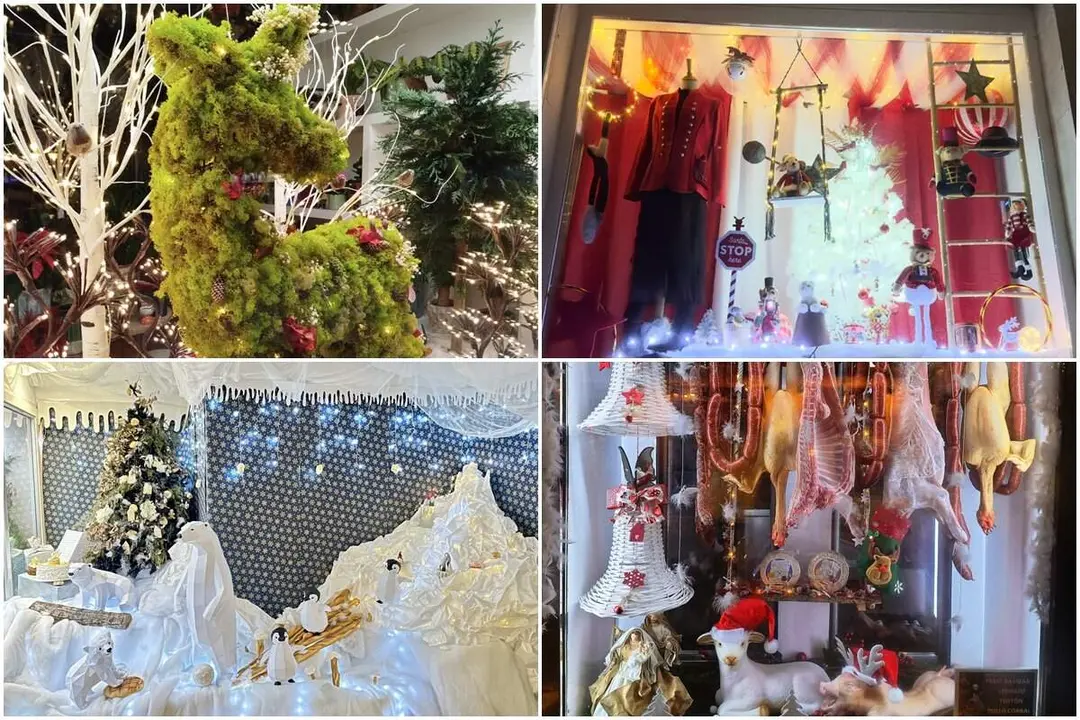 Premios Escaparates Navidad 2025 pueblos Valladolid Diputacion Fecosva