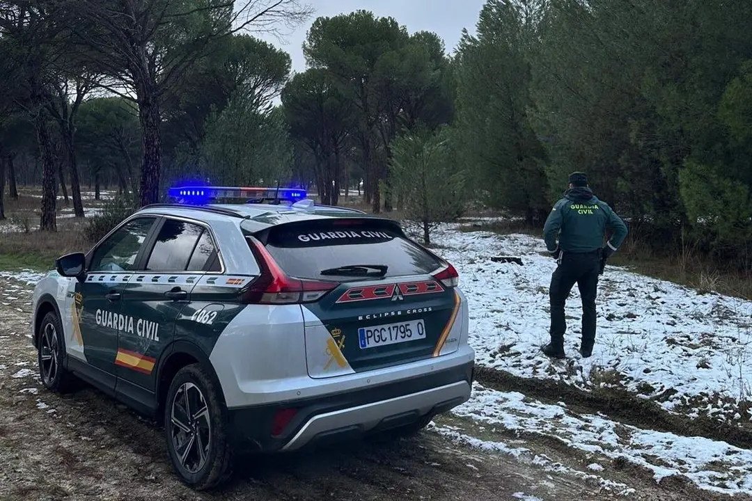 Intervencion Guardia Civil Valladolid pinar tala y robo Hornillos de Eresma