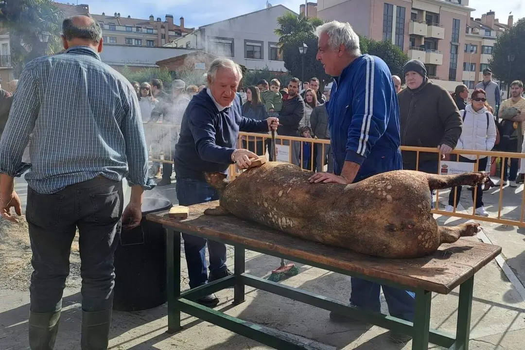 Polemica Jornada Matanza Laguna de Duero criticas PACMA
