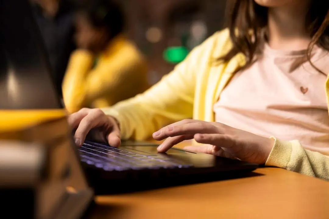 Estudiante ordenador consejos ciberseguridad trabajos e informacion