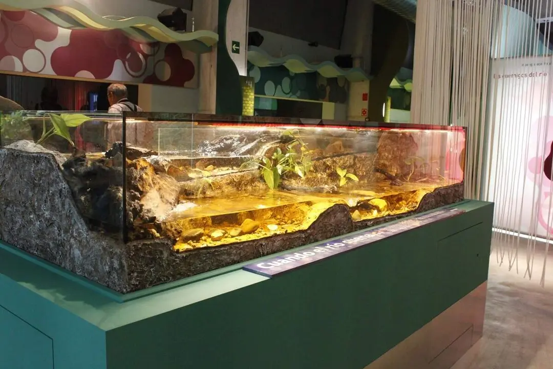Casa del rio Museo de la Ciencia exposiciones Valladolid