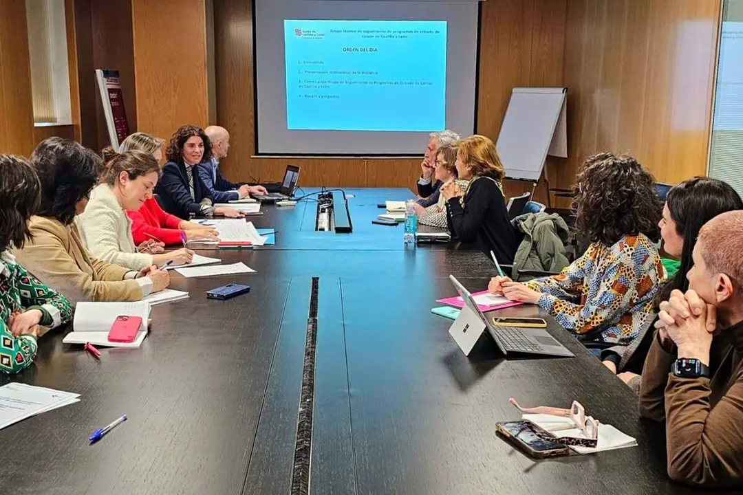 Reunion Grupo cribados de cancer de Castilla y Leon seguimiento programas jcyl