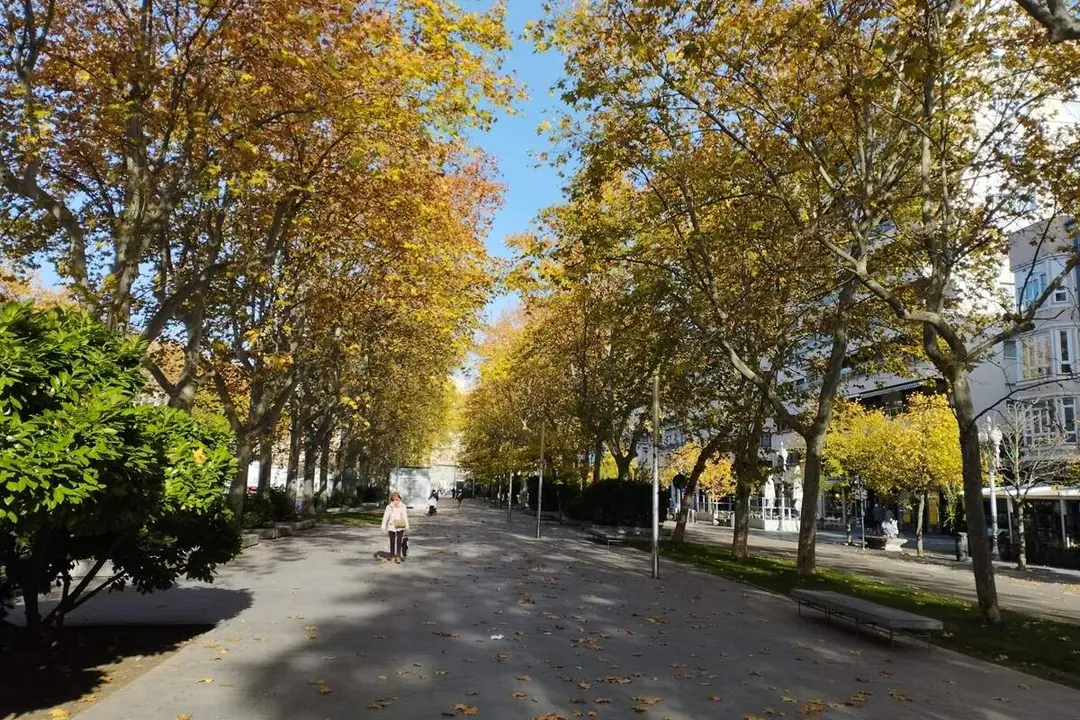 Acera Recoletos tiempo primavera ciudad centro Valladolid