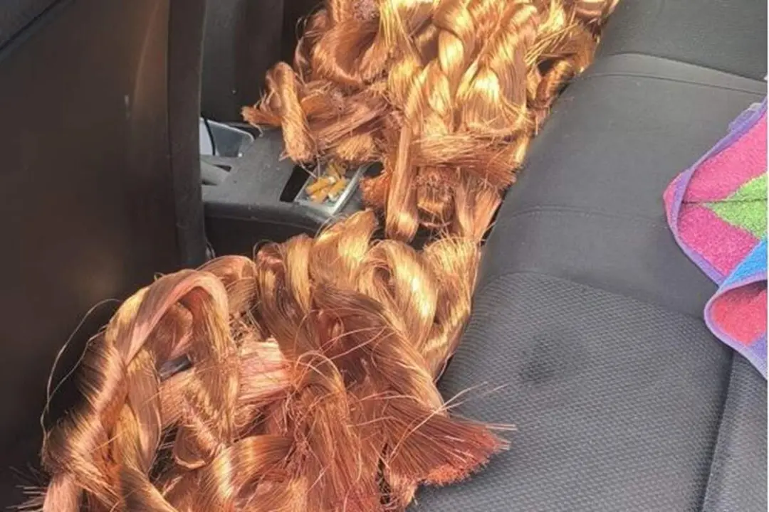 Robo cable de cobre coche cuatro detenidos Villanueva de Duero provincia