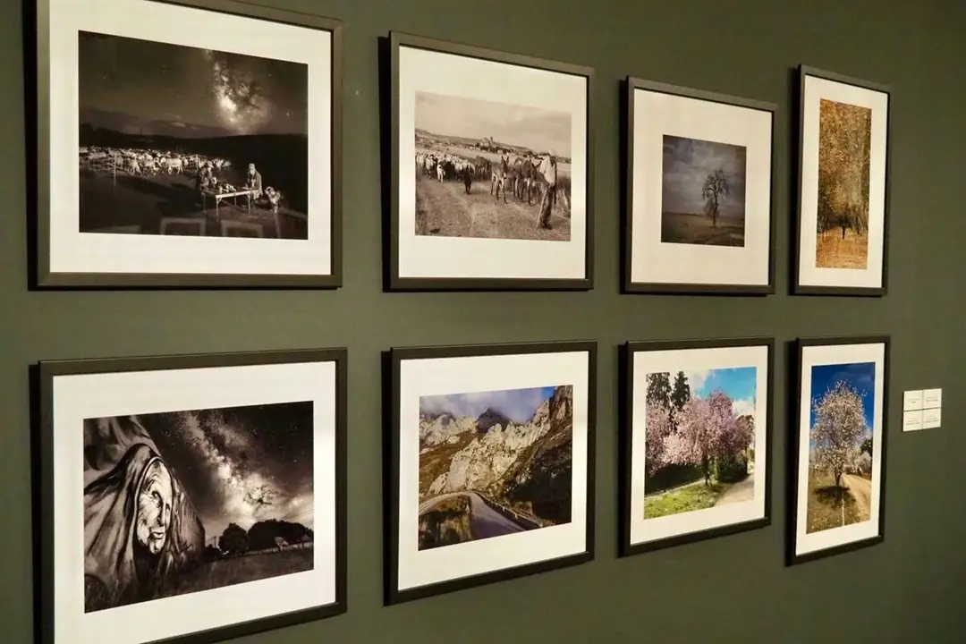 Exposicion Miradas diferentes Agenda cultural Valladolid