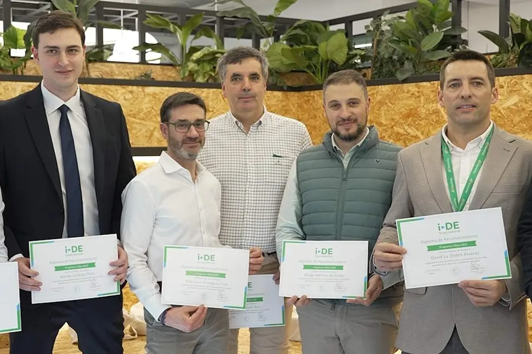 Premios i-DEas Iberdrola 2026 galardones trabajadores y profesionales Castilla y Leon