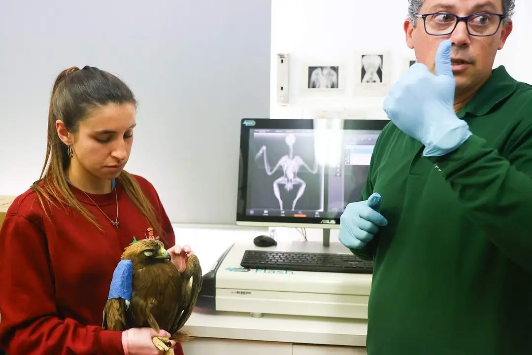 Visita Centro de Recuperacion de Animales Silvestres Valladolid jcyl aves