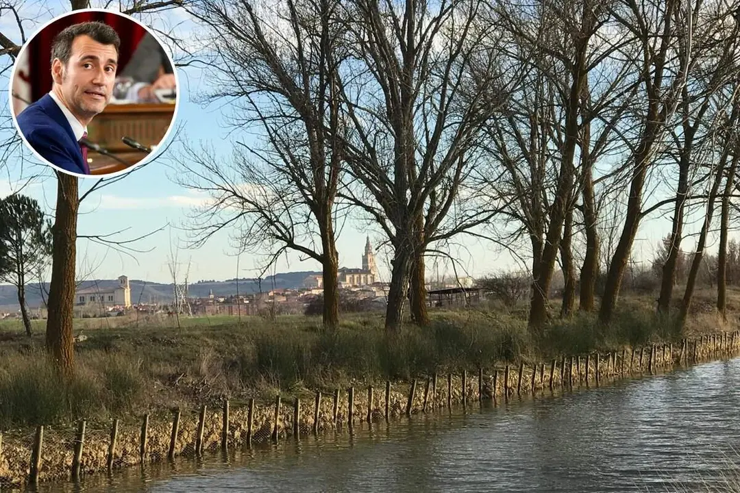 Tala arboles CHD Canal de Castilla mocion Diputacion David Esteban Rioseco