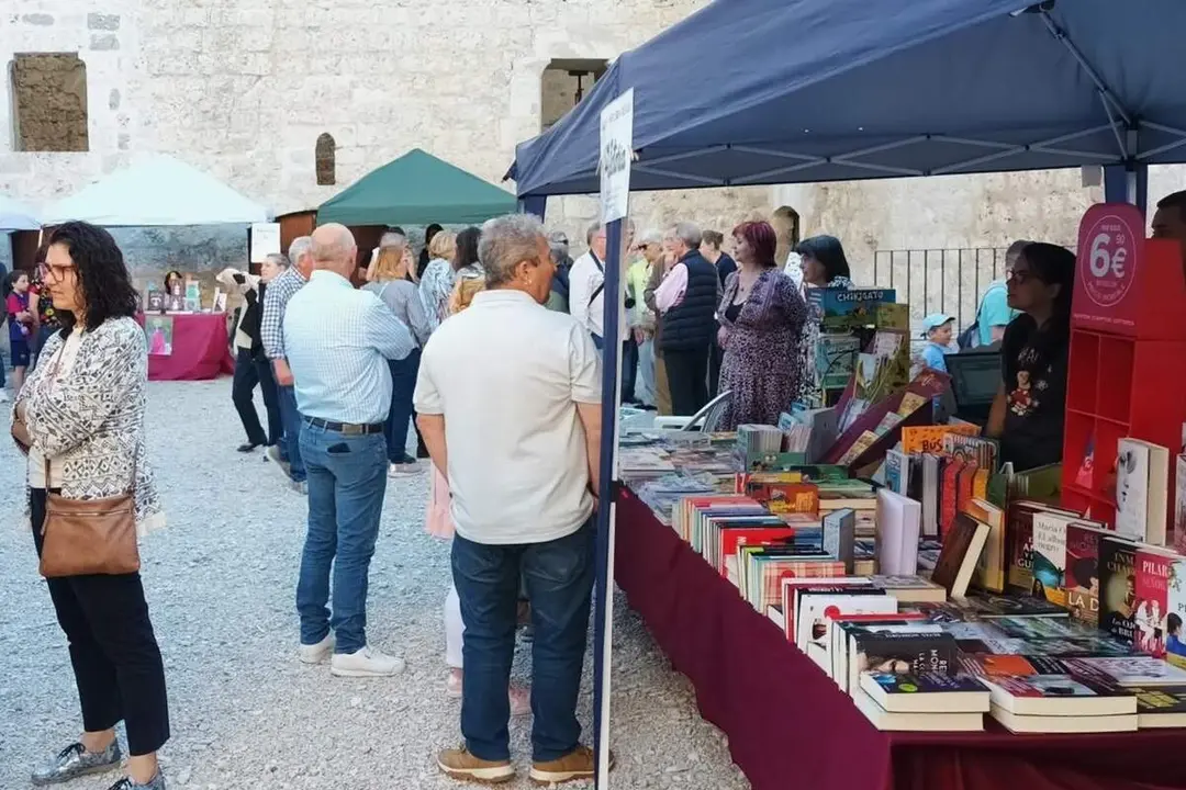Feria del Libro de Portillo expositores y visitantes cita literaria