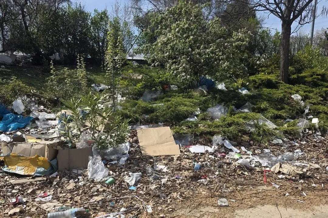 Suciedad zona estadio Jose Zorrilla y recinto ferial PSOE Valladolid