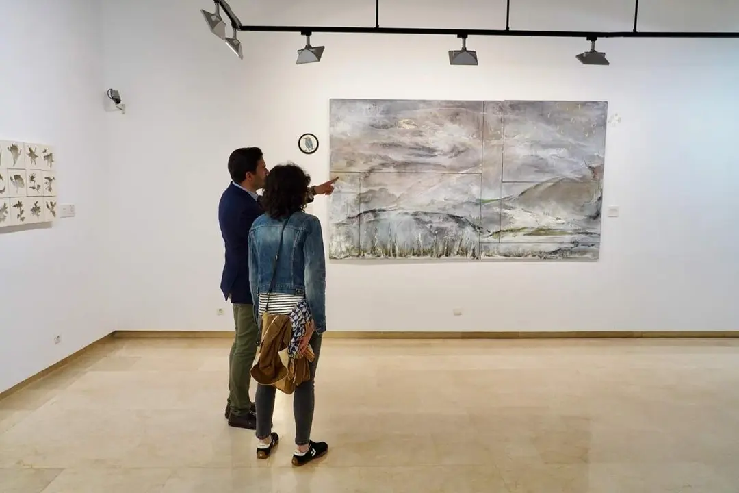 Nueva exposicion Julia Gallego Sala Teresa Ortega Coca Diputacion Valladolid