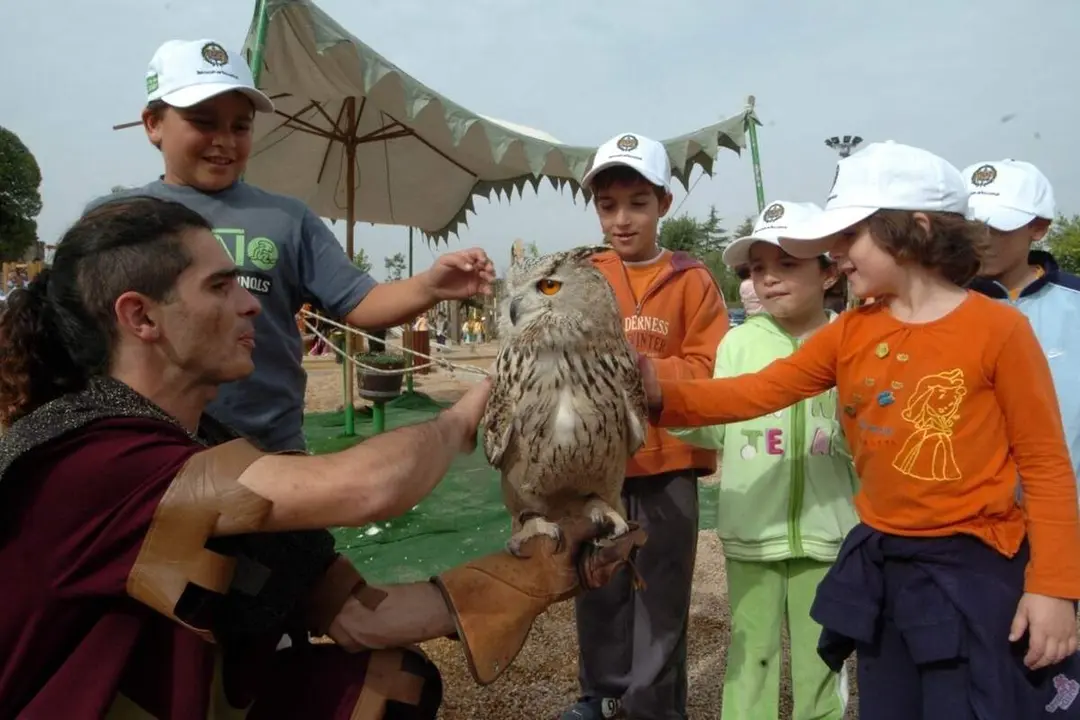 Campamentos de Verano ninos jovenes centros turisticos Diputacion Valladolid