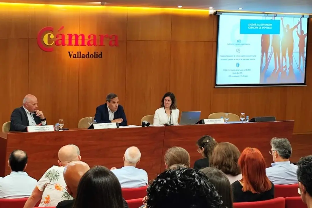 Presentacion nuevas medidas apoyo empresarial legislatura provincia Valladolid Augusto Cobos Icecyl