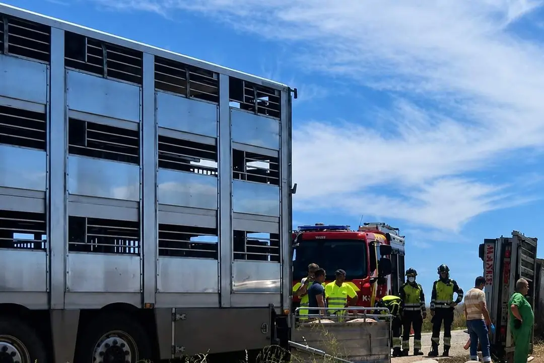Vuelco camion cerdos N-601 Medina de Rioseco Bomberos Diputacion