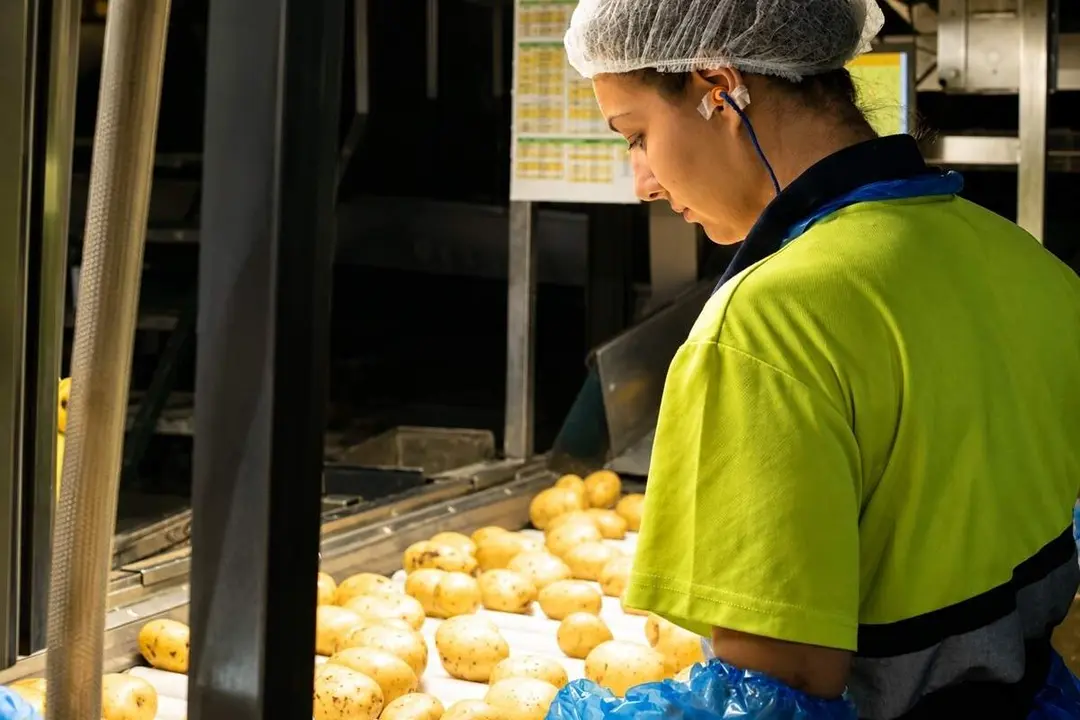 Operaria fabrica patatas empleo ofertas Valladolid
