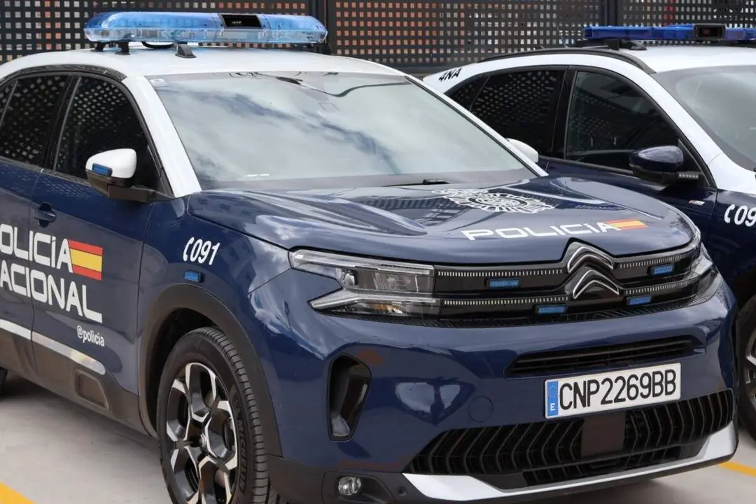 Coches Policia Nacional de Valladolid altercado Pajarillos sucesos Valladolid