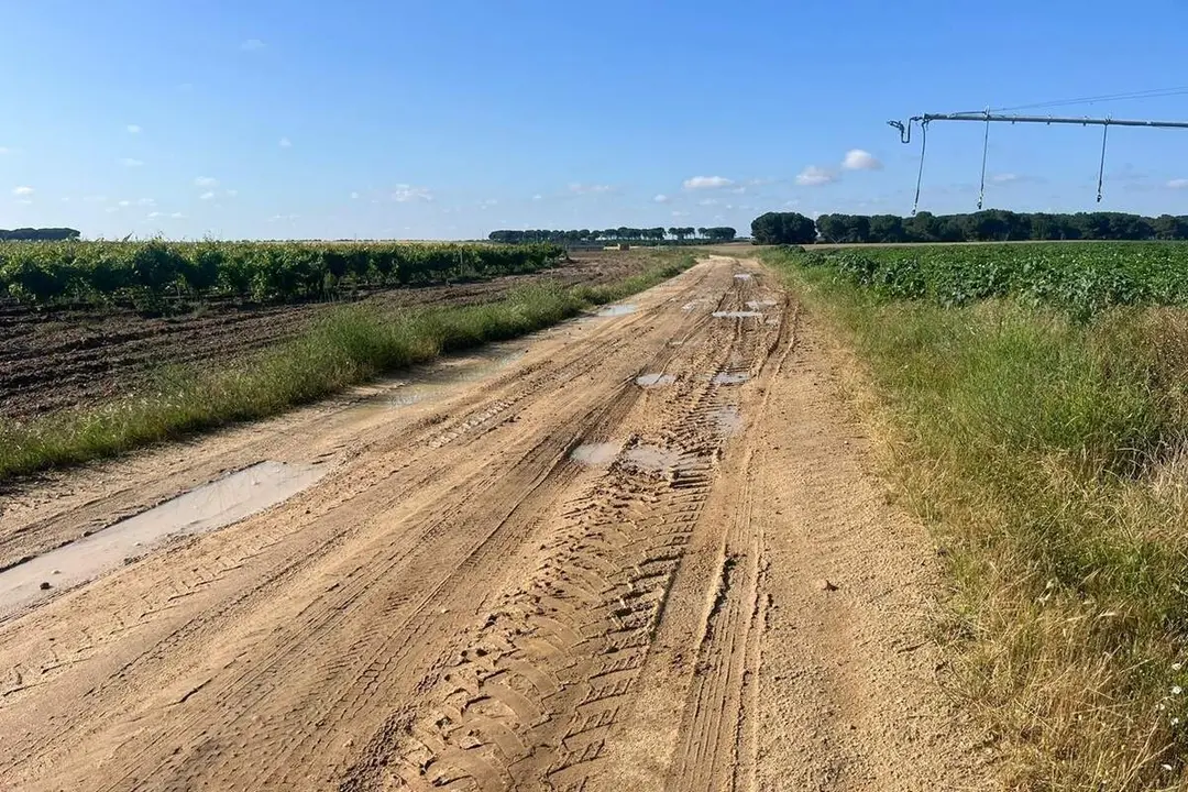 Caminos rurales provincia Valladolid labores agricolas pueblos