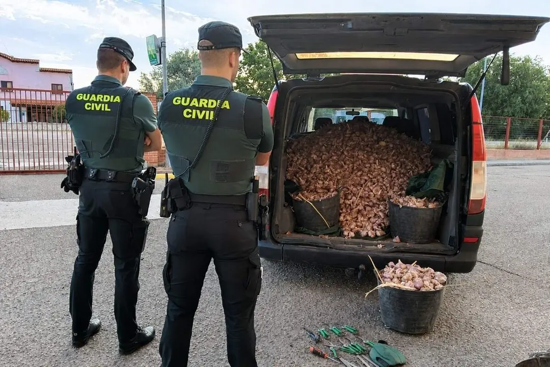 Robo agricultor ajos zona Penafiel Guardia Civil