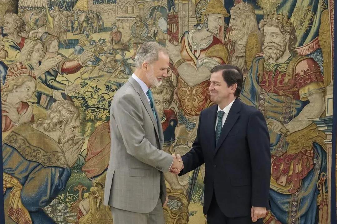 Rey Felipe VI audiencia presidente Junta de Castilla y Leon Alfonso Fernandez Manueco