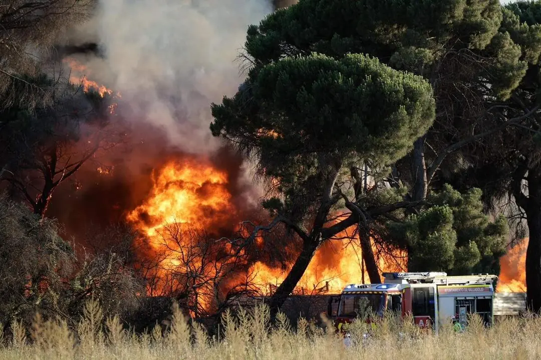 Labores extincion incendio fabrica pales junto Colegio San Agustin Bomberos Valladolid