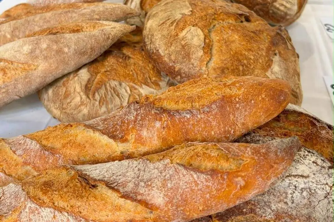 Pan artesano concurso 50 Panaderos Top Valladolid