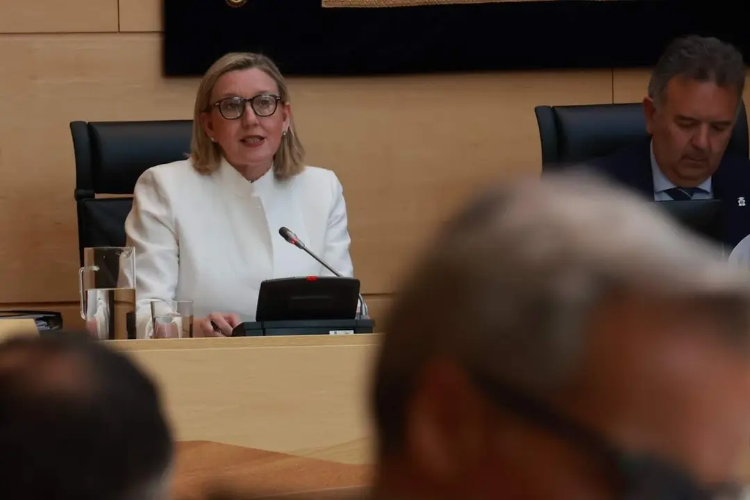 Comparecencia inicio legislatura Cortes vicepresidenta segunda Junta de Castilla y Leon Isabel Blanco