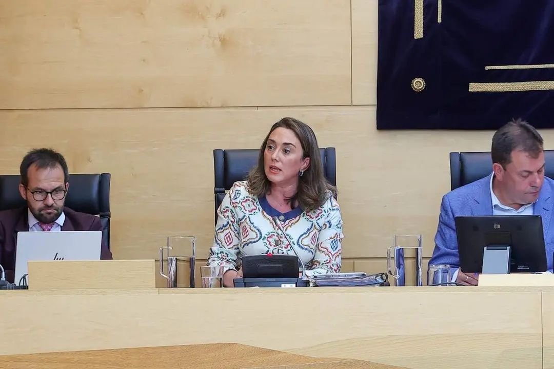 Comparecencia inicio legislatura nueva consejera Medio Ambiente y Energia Maria Gonzalez Corral jcyl