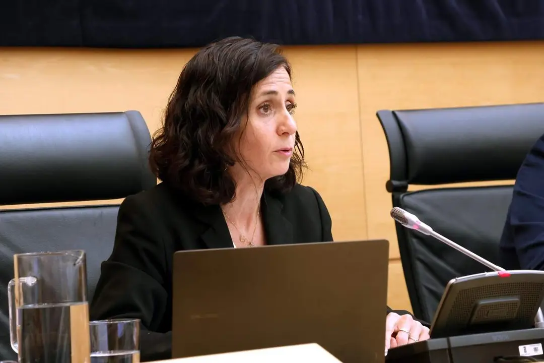 Comparecencia consejera Movilidad Transformacion Digital e Inteligencia Artificial Cristina Sanchidrian inicio legislatura