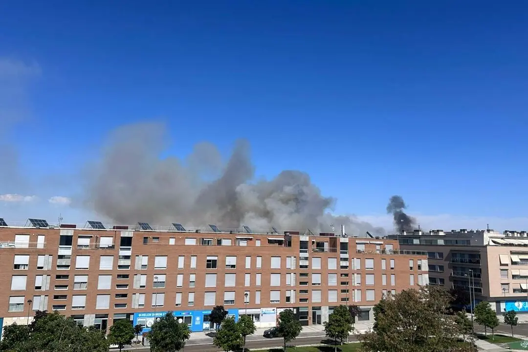 Humareda incendio vegetacion carretera Arcas Reales Valladolid
