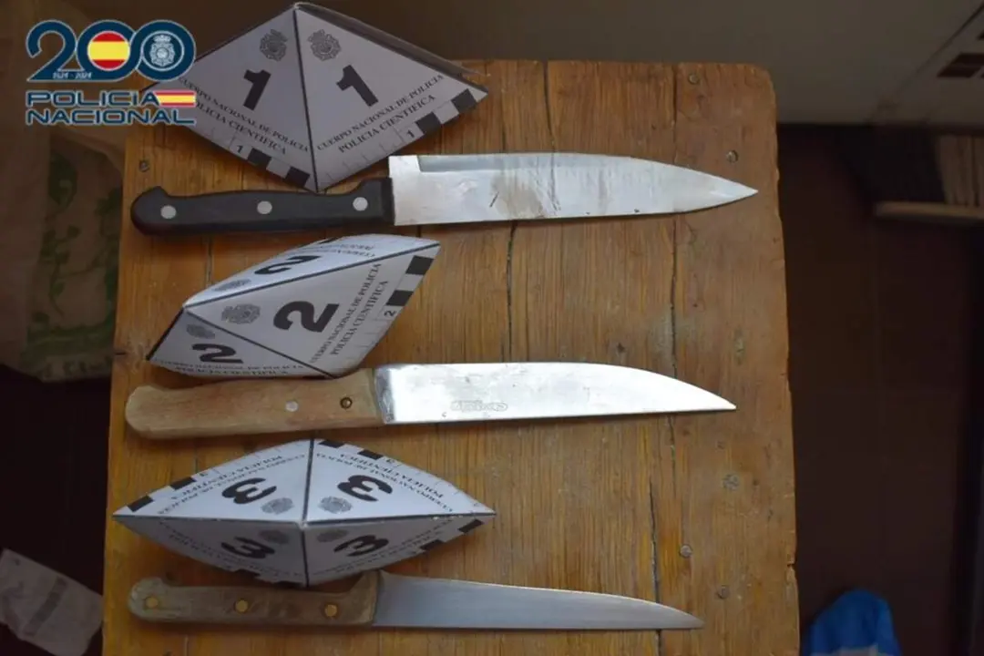 Agresion armas blancas cuchillos dos companeros piso Cano Argales sucesos Valladolid