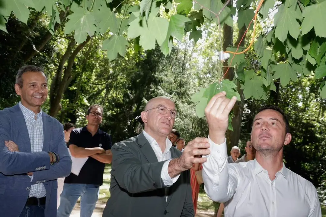 Proyecto pionero Campo Grande motor verde Valladolid gestion sostenible gemelo digital Ayuntamiento