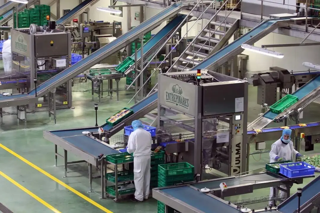 Queseria Entrepinares maquinas y trabajadores empleo ofertas Valladolid