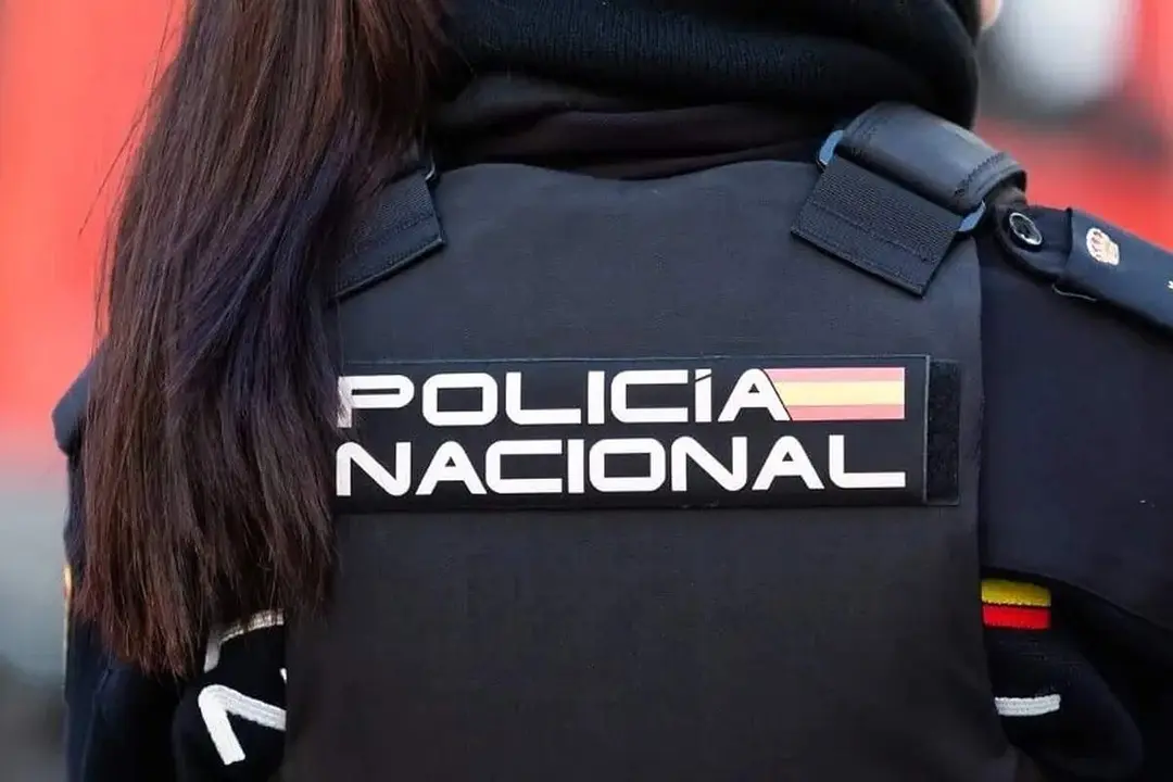 Agente Cuerpo Nacional Policia sucesos intervenciones robos Valladolid