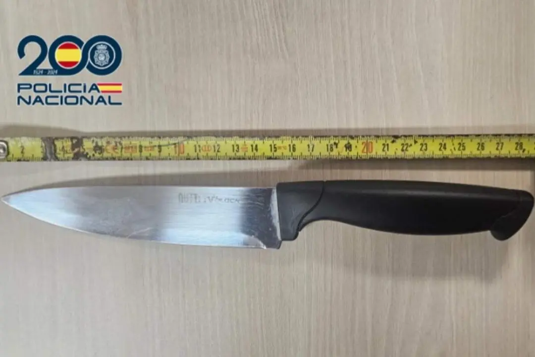 Amenazas cuchillo grandes dimensiones companeros piso Las Delicias sucesos Valladolid