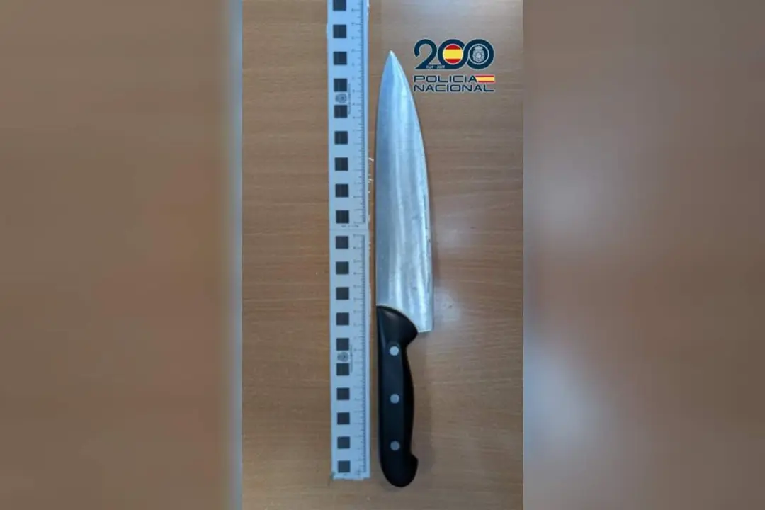 Intervenido cuchillo 21 centimetros hoja altercado vecinos mujer detenida Huerta del Rey sucesos