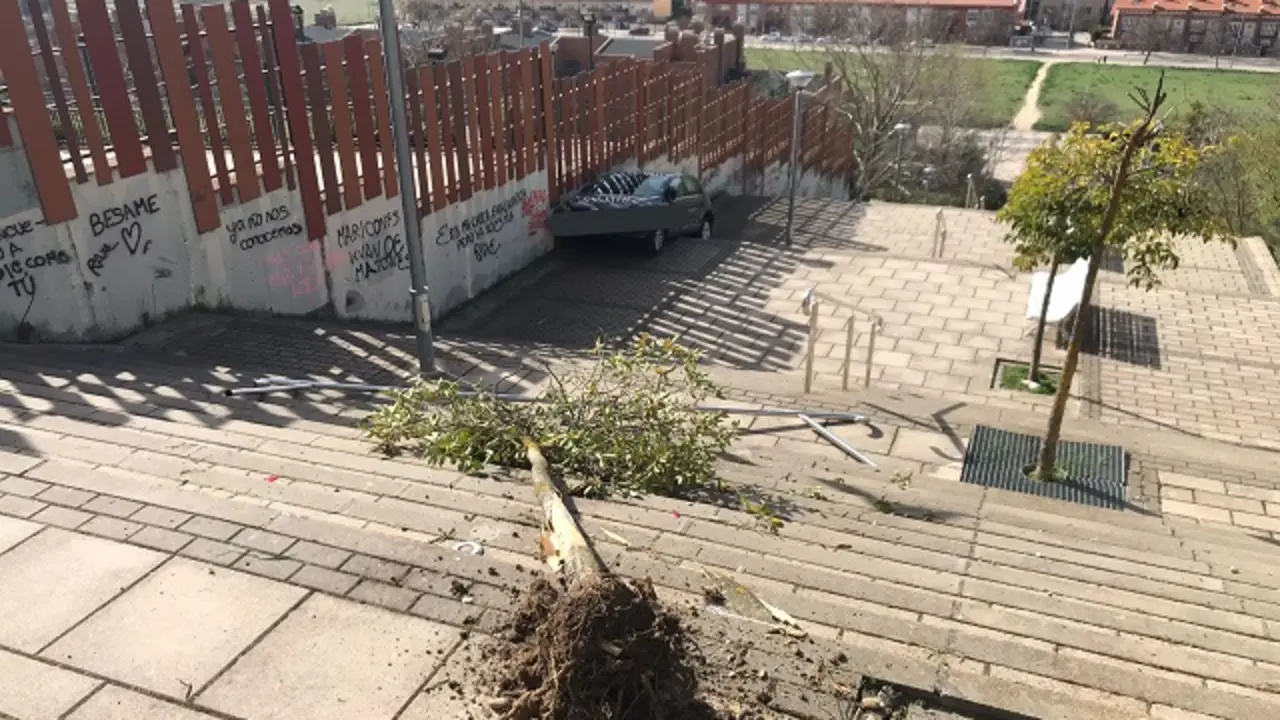 Fuente: Polic&iacute;a Municipal de Valladolid
