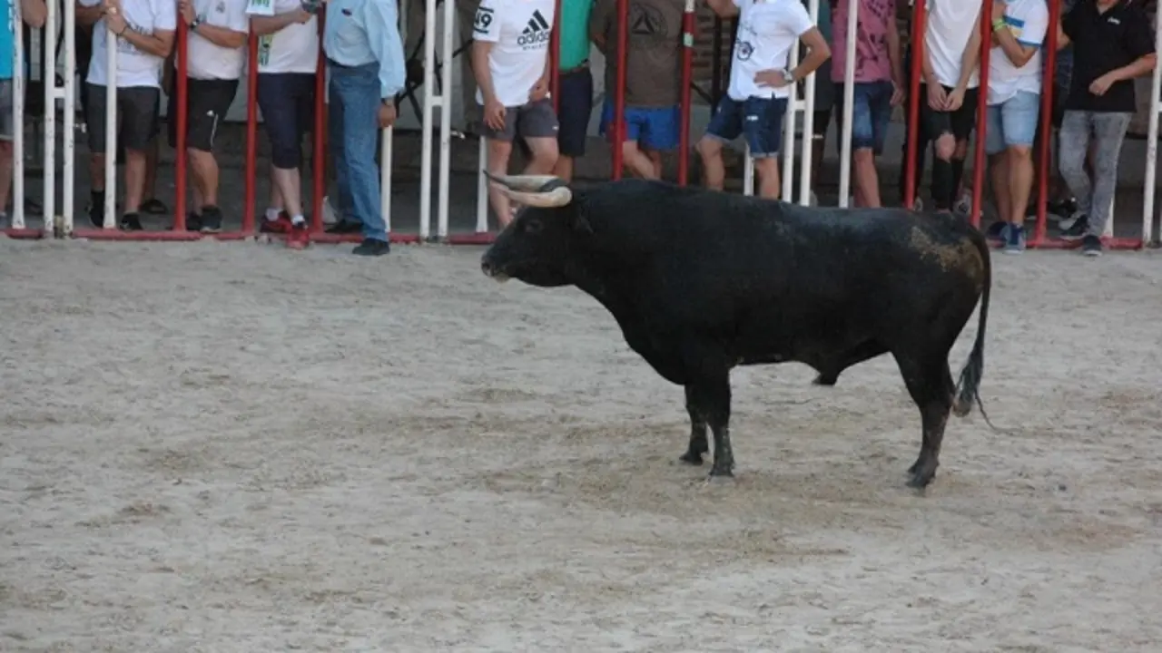 Foto archivo | Fuente: Sentir Taurino