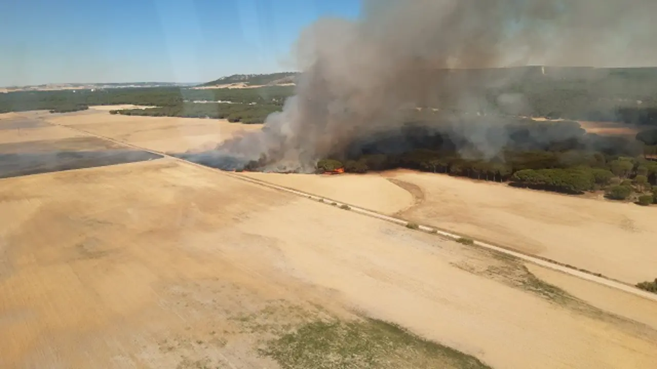 Fuente: Junta de Castilla y Le&oacute;n