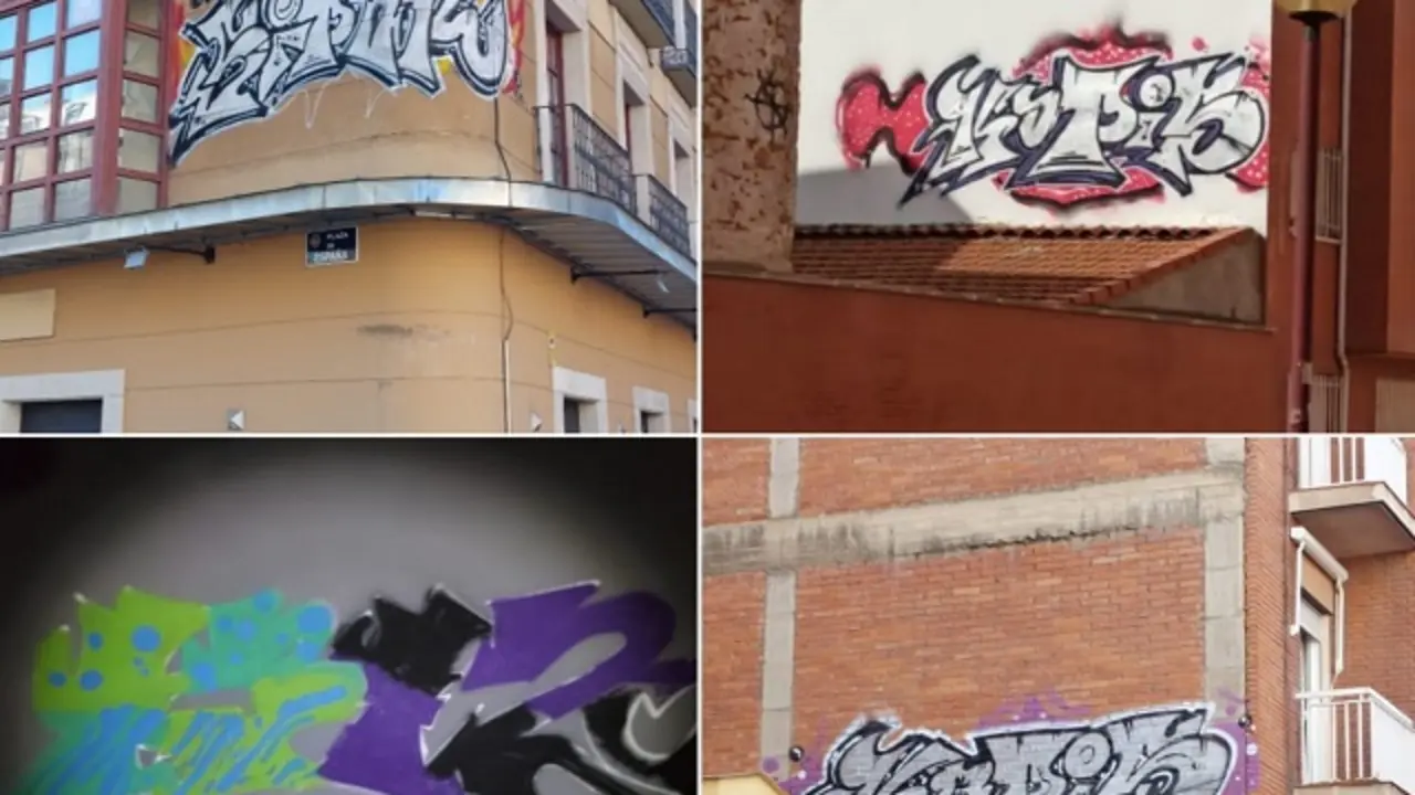 Fuente: Polic&iacute;a Municipal de Valladolid