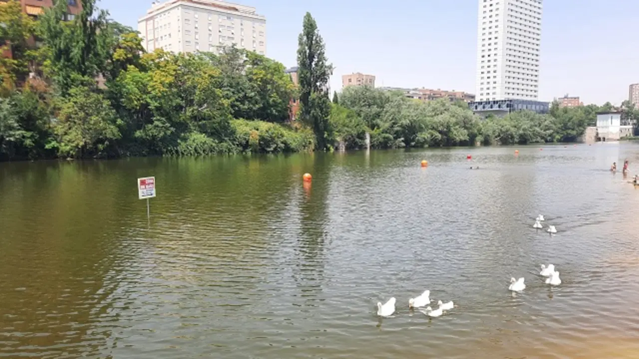 Playa de las Moreras | Valladolid Plural