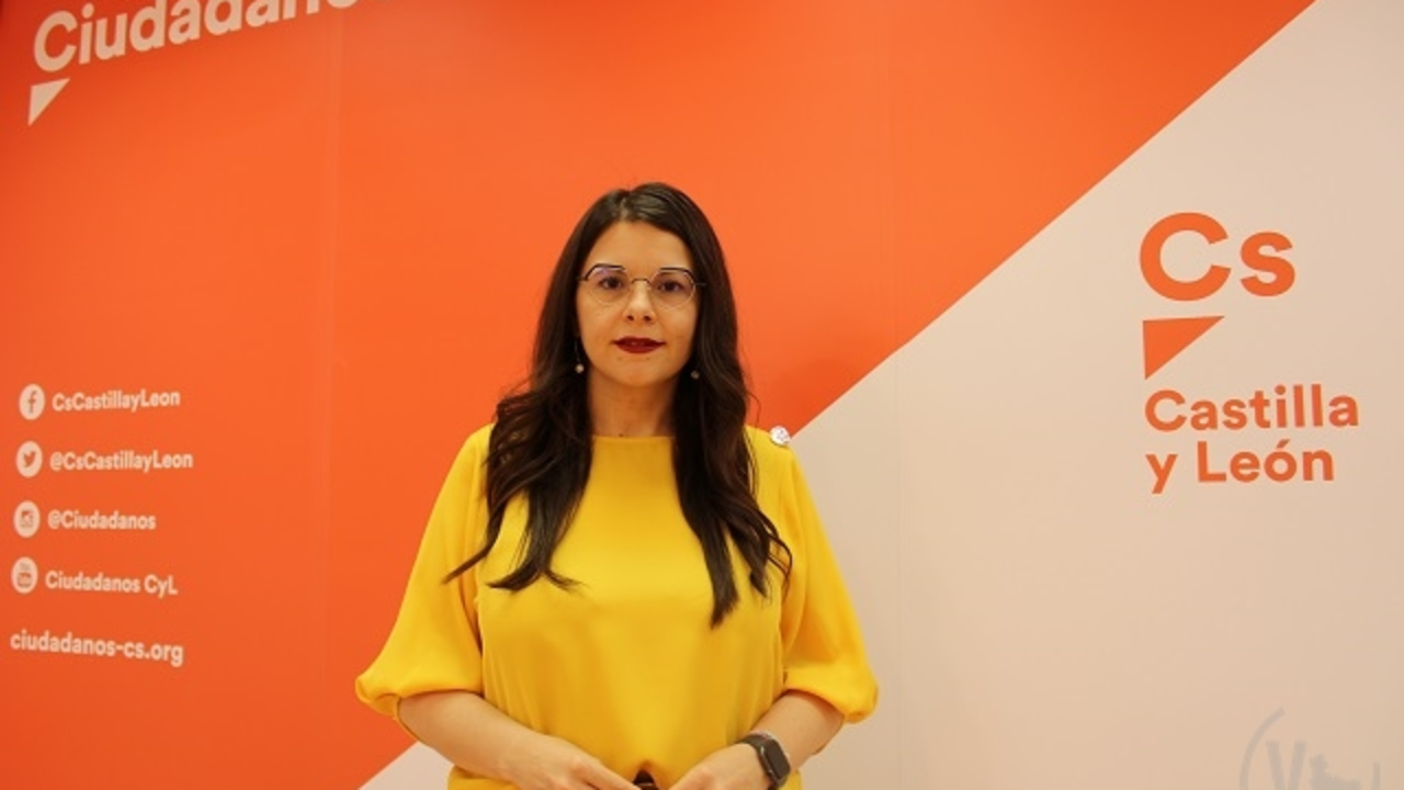 Gema G&oacute;mez, vicepresidenta segunda de la Diputaci&oacute;n de Valladolid y secretaria de Organizaci&oacute;n de Cs Castilla y Le&oacute;n | Valladolid Plural