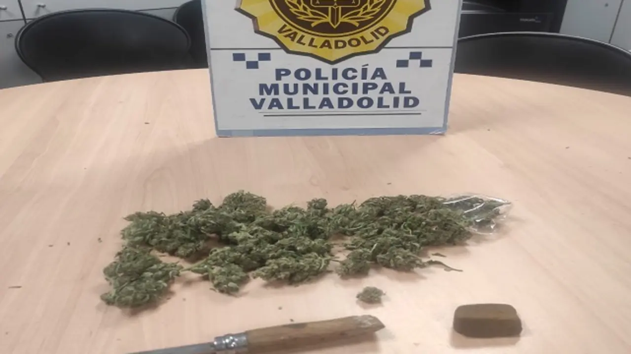 Fuente: Polic&iacute;a Municipal de Valladolid