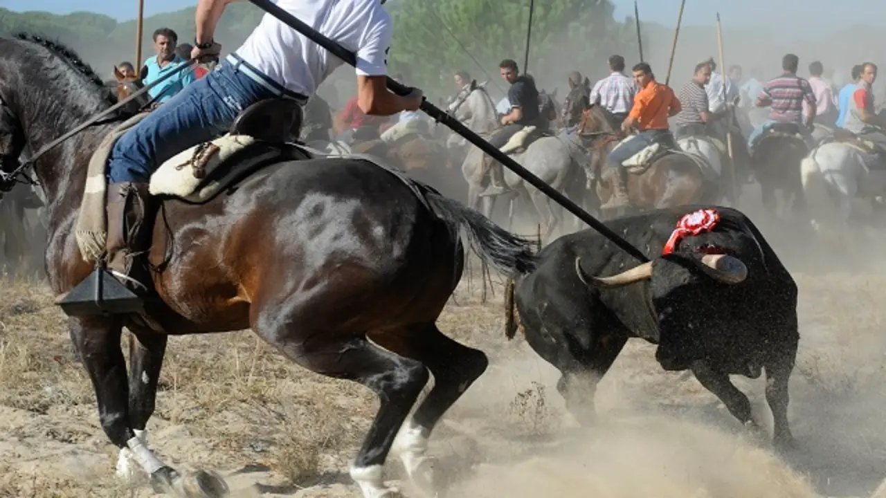 Fuente: Partido PACMA