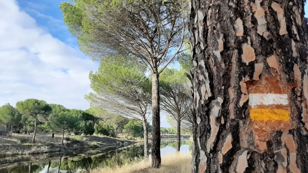 Fuente: Ayuntamiento de &Iacute;scar