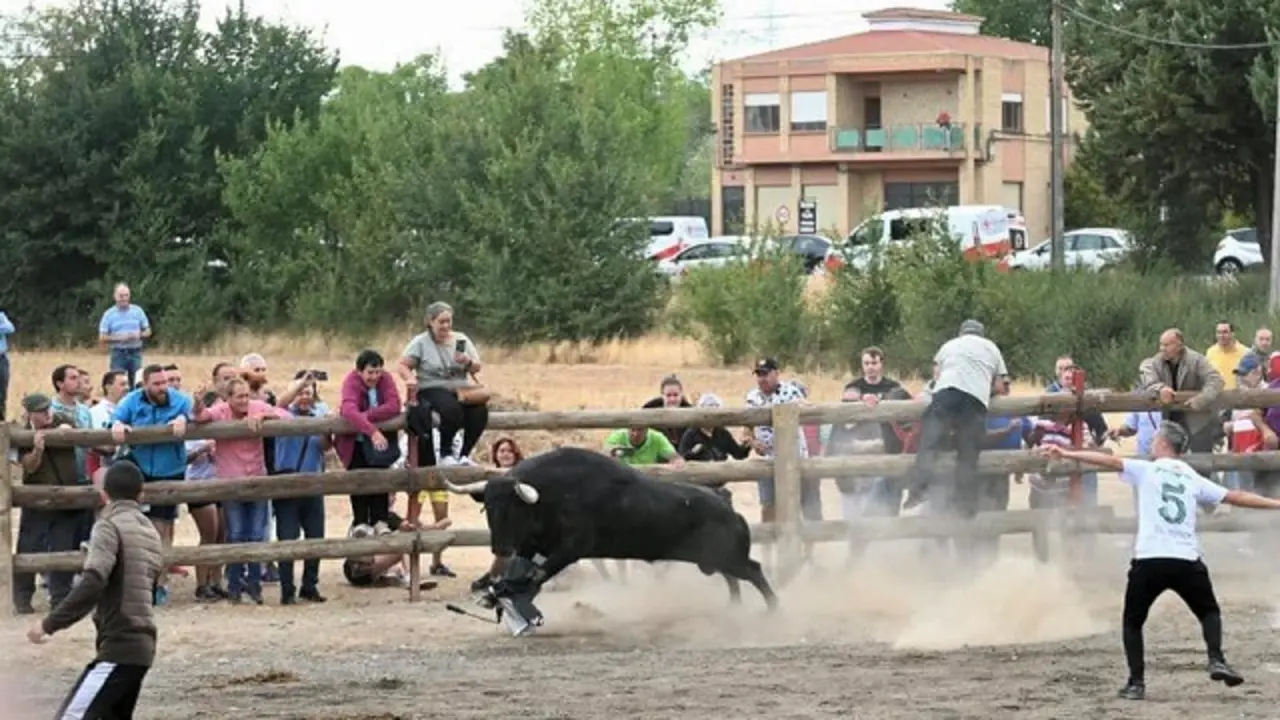 Fuente: Plaza de Toros de Tordesillas