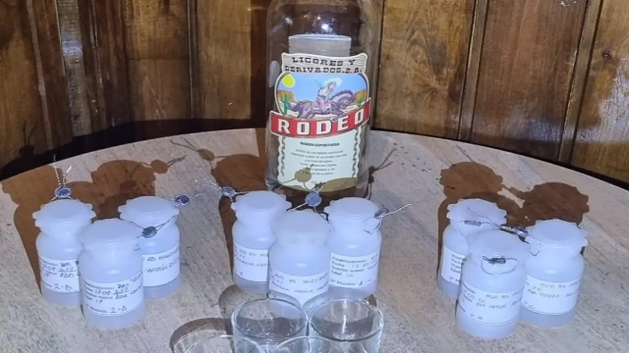 Fuente: Polic&iacute;a Municipal de Valladolid