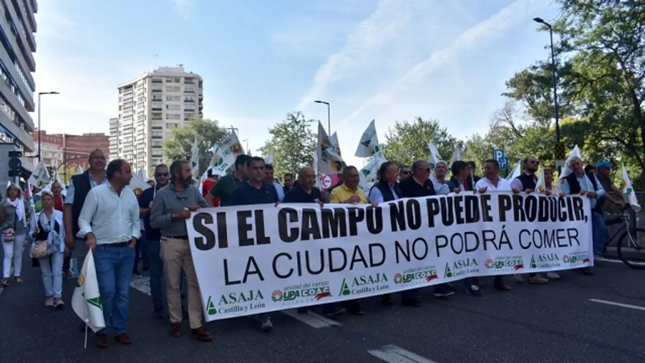 Fuente: Asaja Valladolid